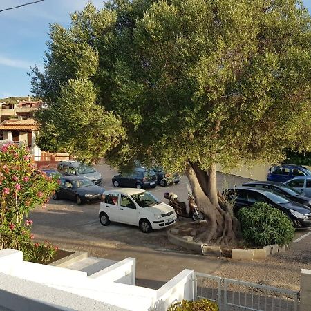 B&B Unique Art Santa Teresa Gallura Exteriér fotografie