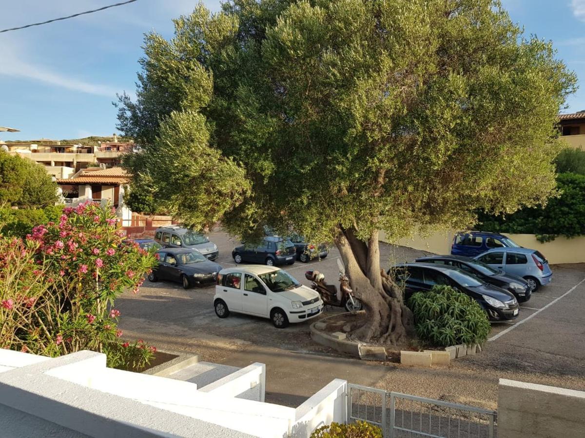 B&B Unique Art Santa Teresa Gallura Exteriér fotografie